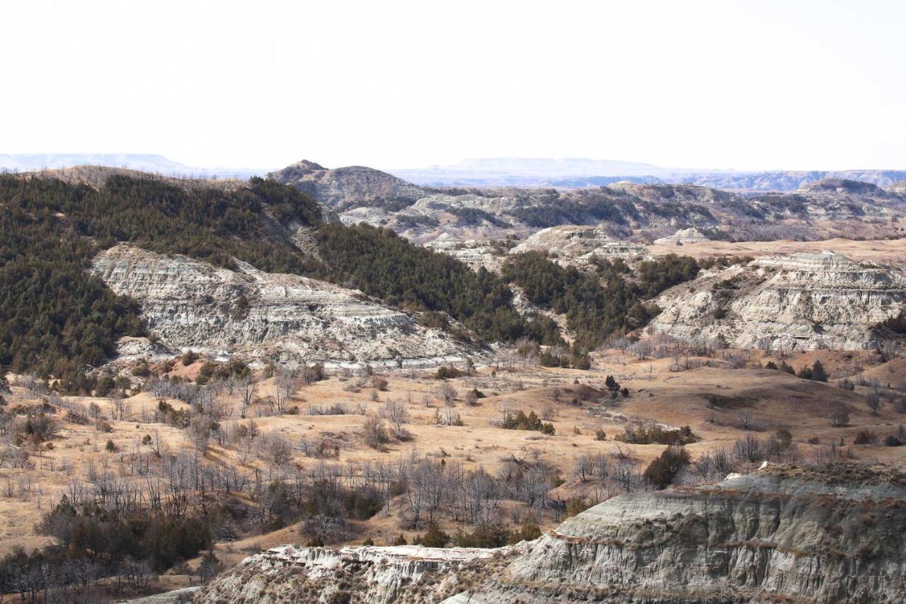 Badlands Suite Less Than 1 Mi To Teddy Roosevelt Park! メドラ エクステリア 写真