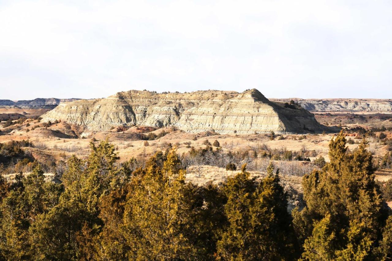 Badlands Suite Less Than 1 Mi To Teddy Roosevelt Park! メドラ エクステリア 写真