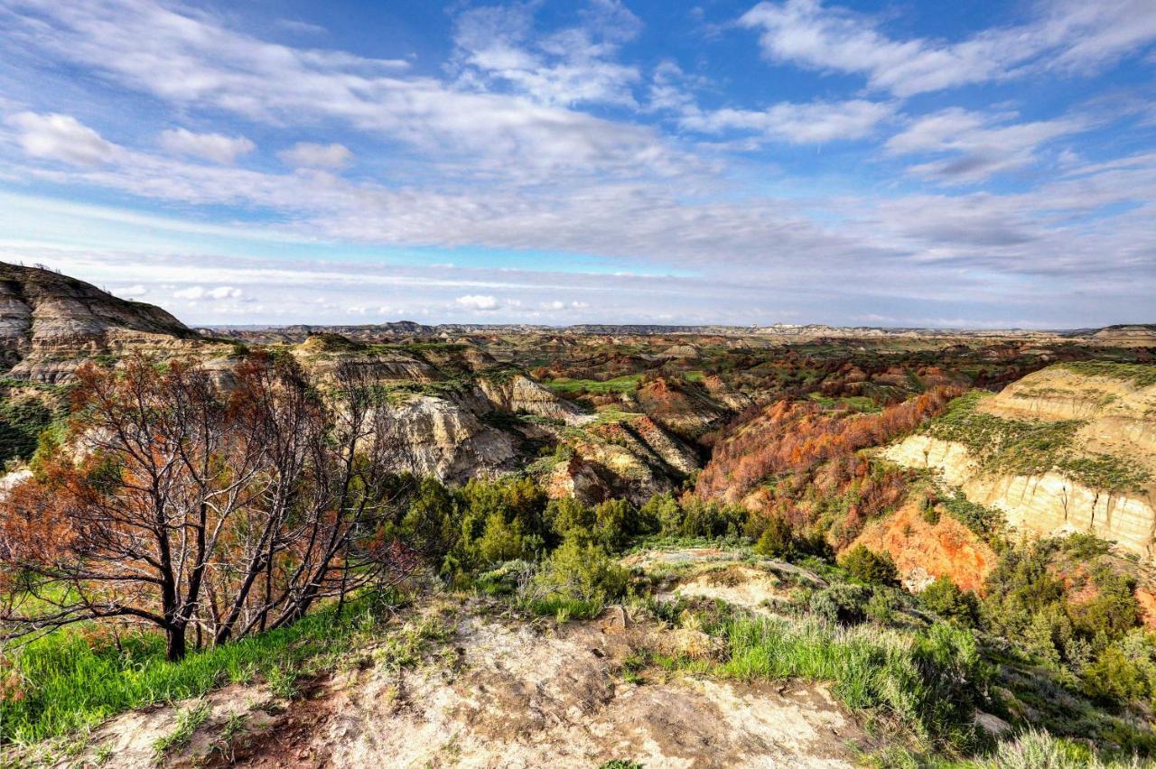 Badlands Suite Less Than 1 Mi To Teddy Roosevelt Park! メドラ エクステリア 写真