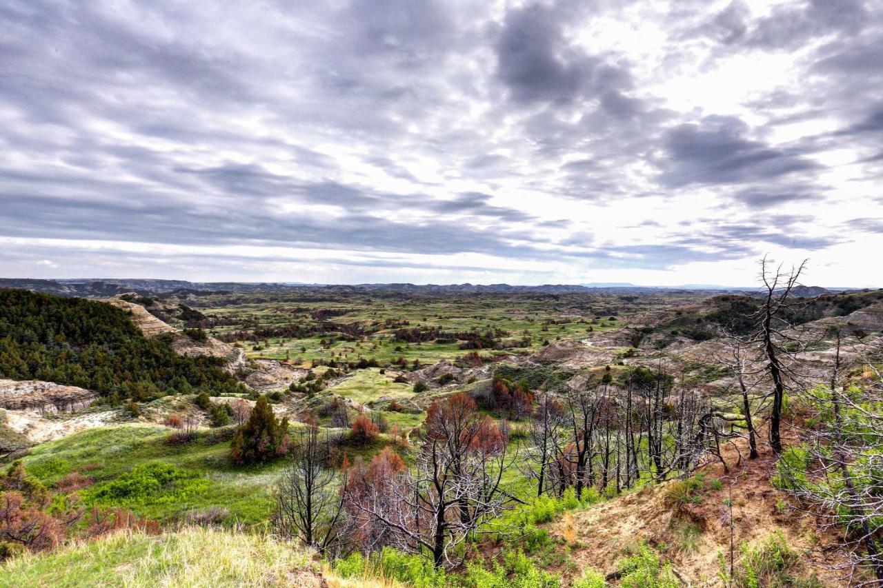 Badlands Suite Less Than 1 Mi To Teddy Roosevelt Park! メドラ エクステリア 写真